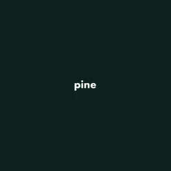 Piino Astro Earrings><noscript><img width=