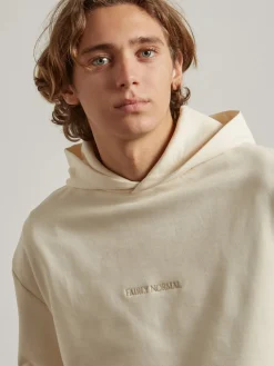 Fairly Normal Core Logo Hoodie><noscript><img width=