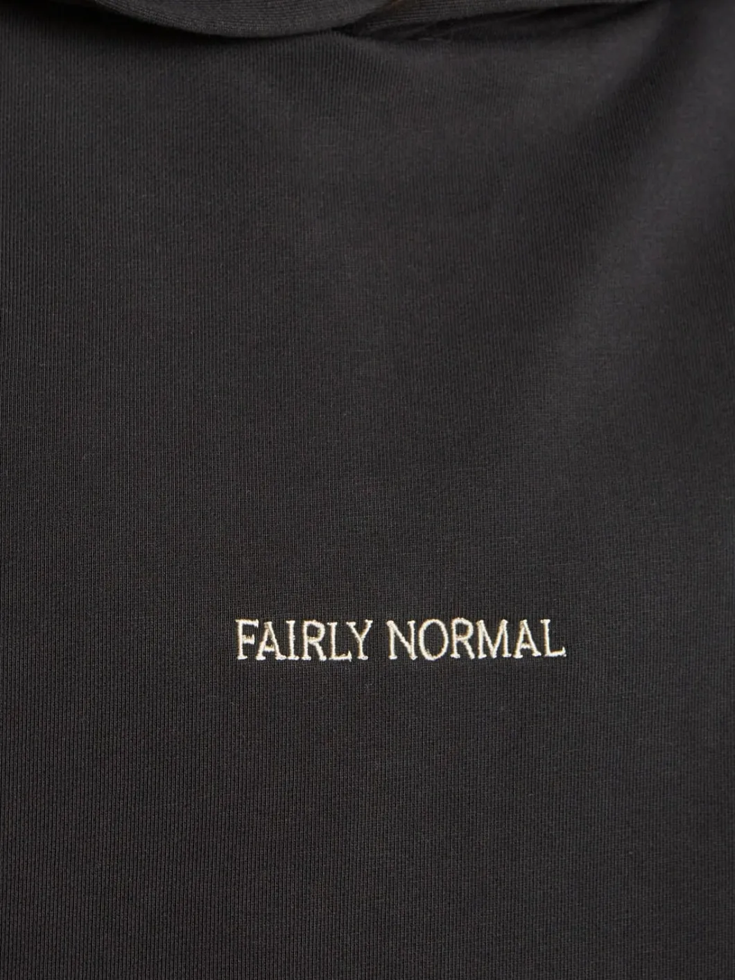 Fairly Normal Core Logo Hoodie>Man Sweaters