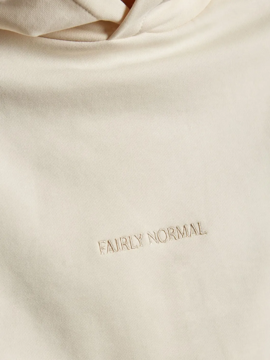Fairly Normal Core Logo Hoodie>Man Sweaters
